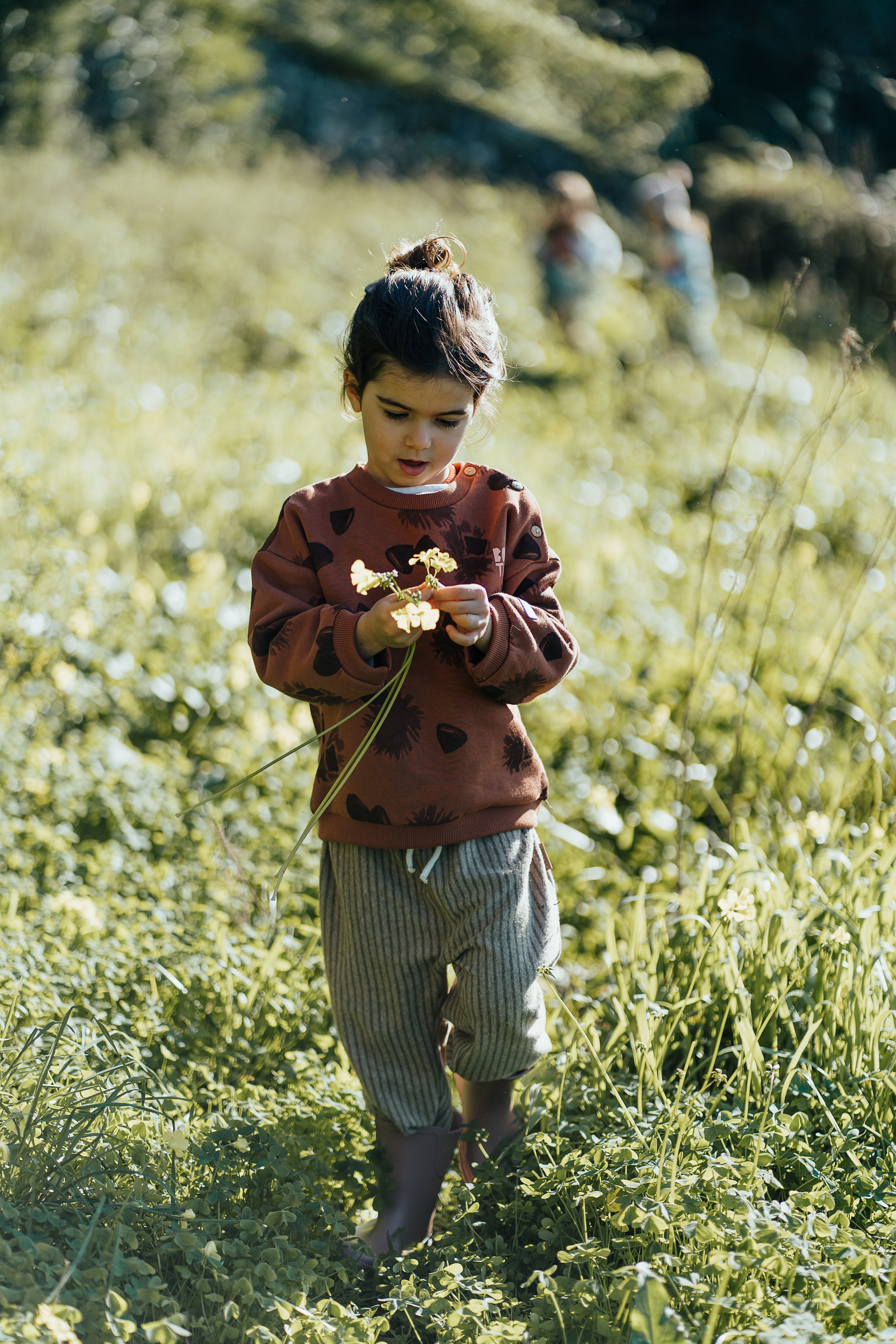CHESTNUTS SWEATSHIRT