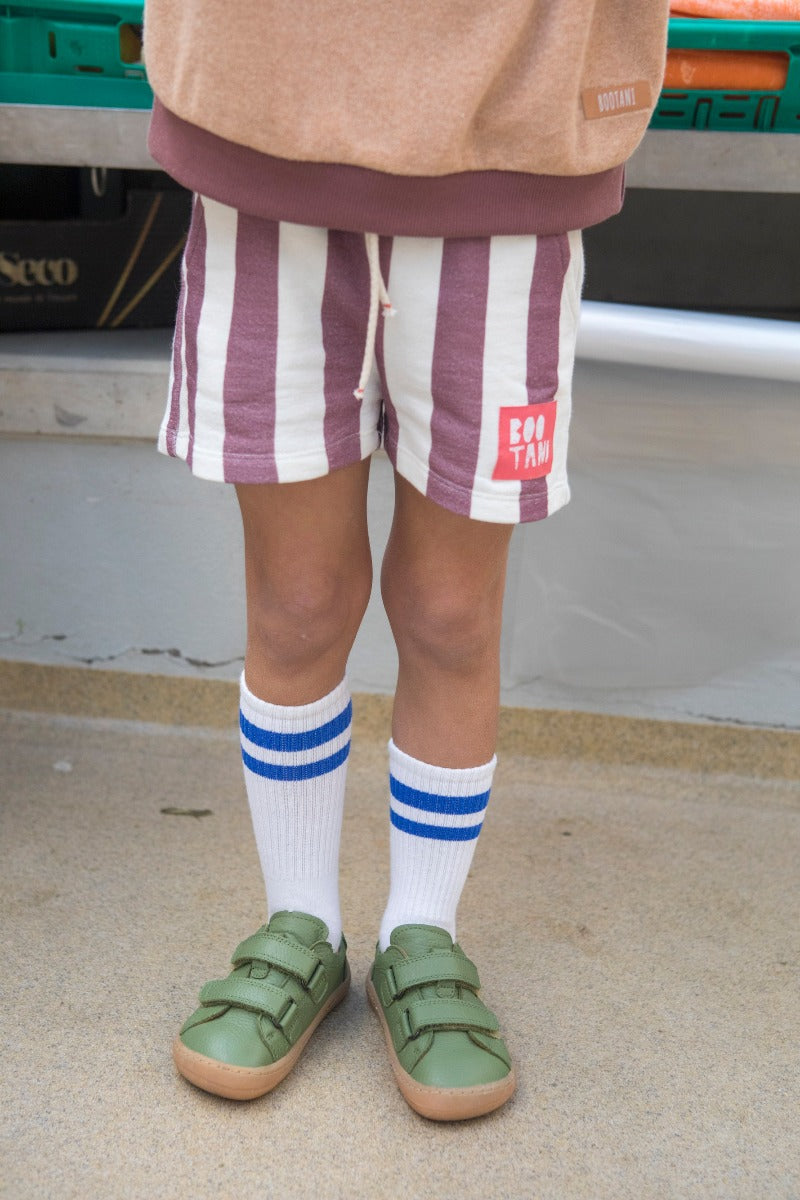 Stripes Shorts Shorts